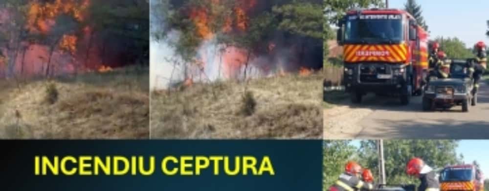 Localnicii din Ceptura, în sprijinul pompierilor pentru stingerea unui incendiu de vegetație